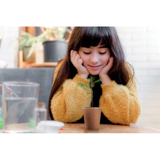 Kit plantation publicitaire GROWTREE ® 