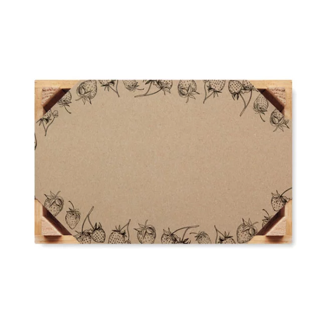 Kit de culture de fraises Strawberry 