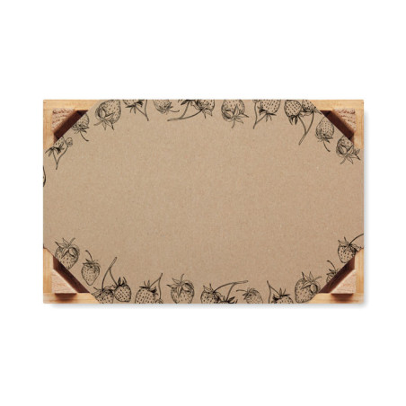 Kit de culture de fraises Strawberry 