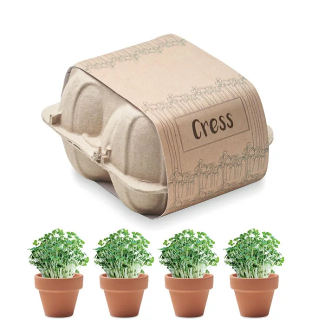 Lot de 4 pots en terre cuite Cress 
