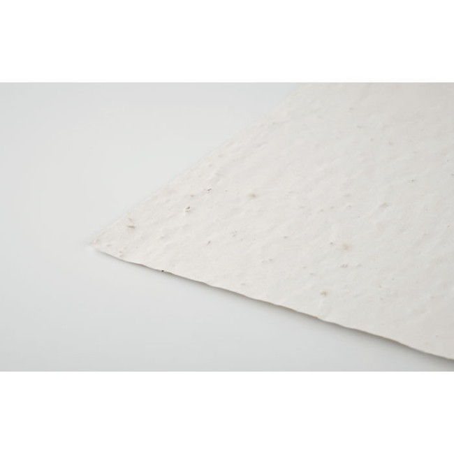 Feuille de papier recyclé à planter A4 Asidi 