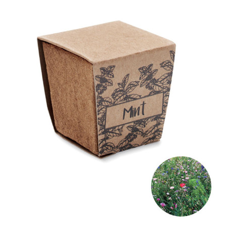 Pot de plantation de menthe Mint Kit 