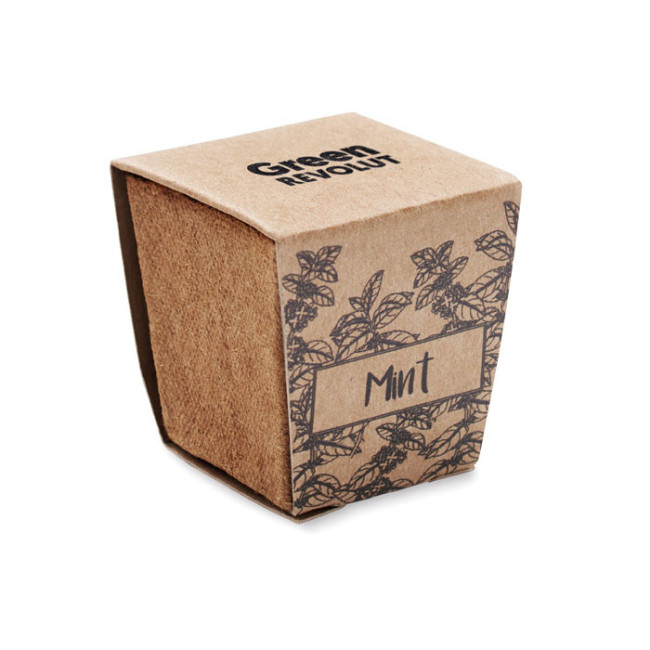 Pot de plantation de menthe Mint Kit 