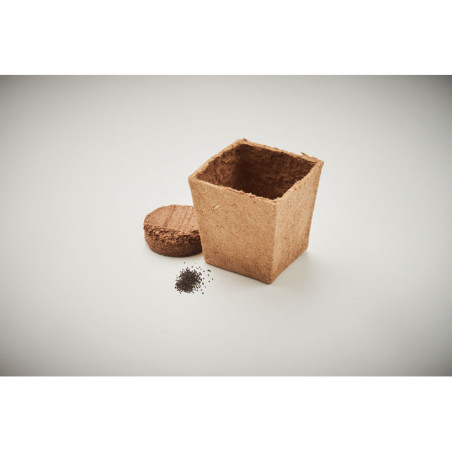 Pot de plantation de menthe Mint Kit 