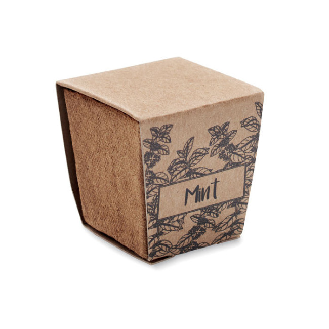 Pot de plantation de menthe Mint Kit 