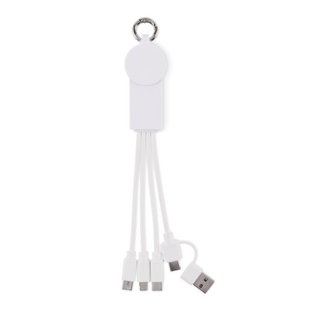 Câble de charge 2-en-1 personnalisé Icab 