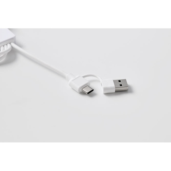 Câble de charge 2-en-1 personnalisé Icab 