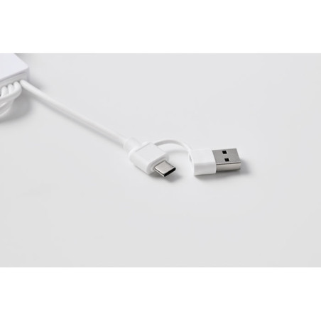 Câble de charge 2-en-1 personnalisé Icab 