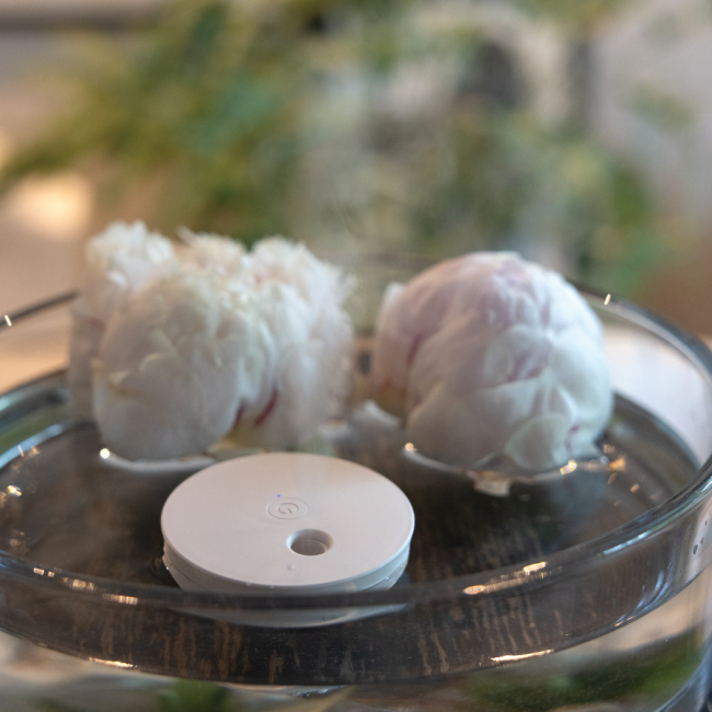 Humidificateur d'air flottant Breevia 
