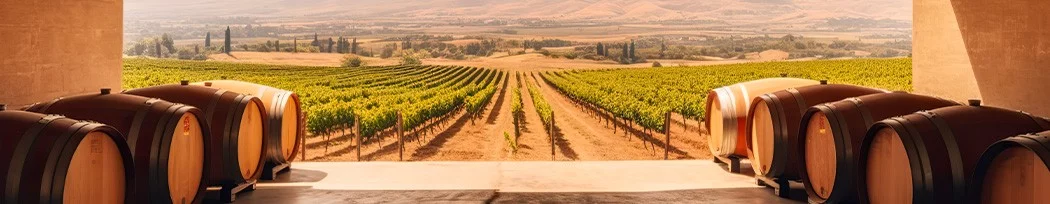 Coffret Sommelier Personnalisé & Coffret à Vin