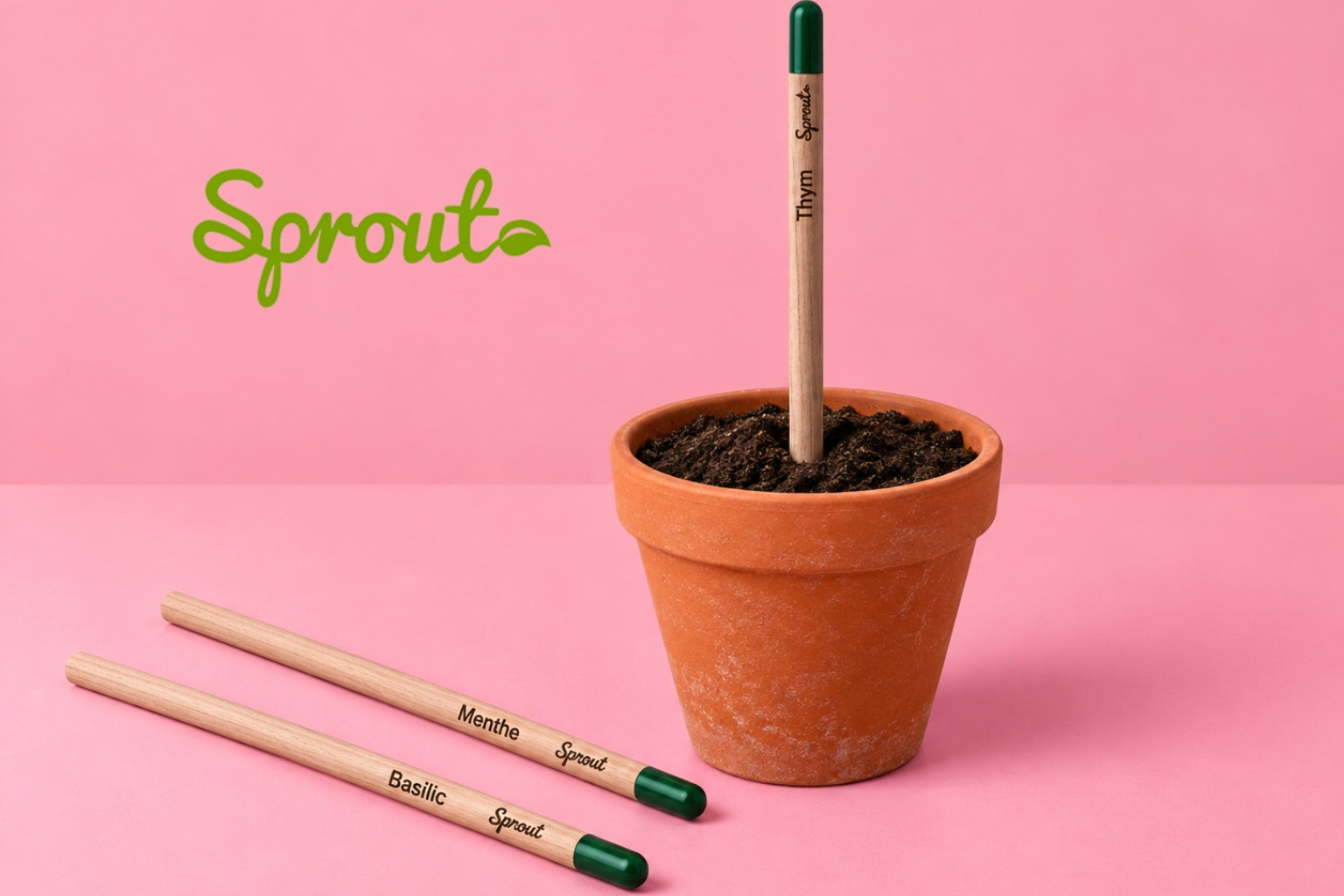 Sprout® : crayons à planter
