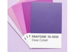 Pantone : définition, fonctionnement et utilisation du système de couleurs