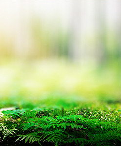 L’impact de la transition écologique sur les objets publicitaires